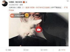天涯爆料真实外遇视频,真实外遇视频曝光，情感背叛瞬间被定格  第1张